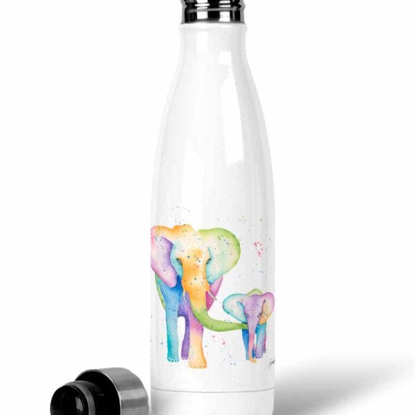 stainless steel water bottle