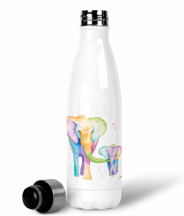 stainless steel water bottle