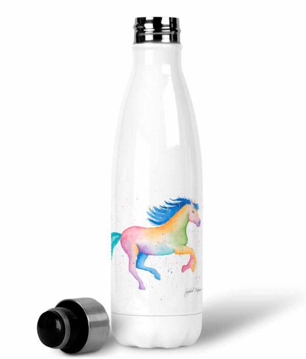 stainless steel water bottle