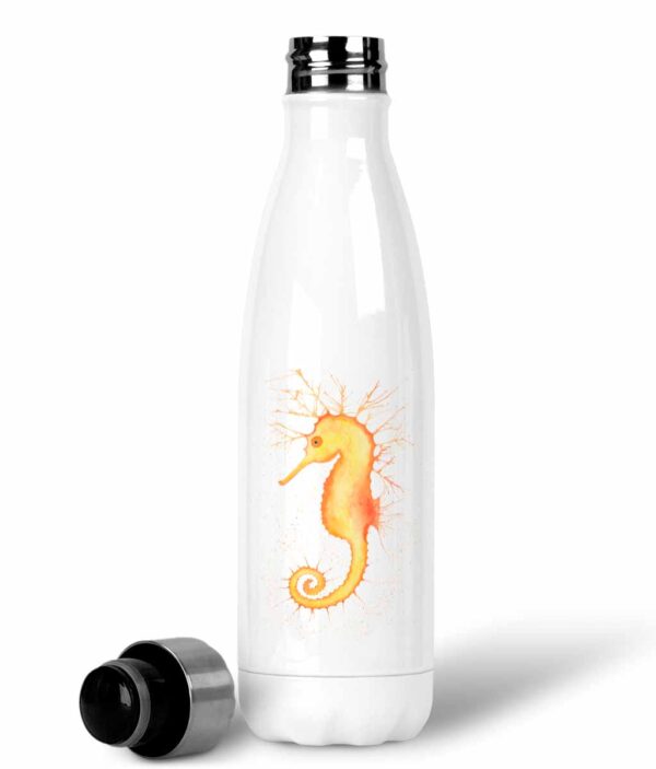 stainless steel water bottle