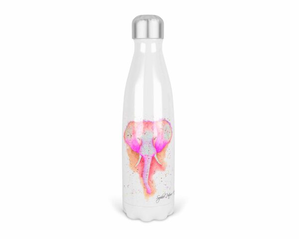 stainless steel water bottle