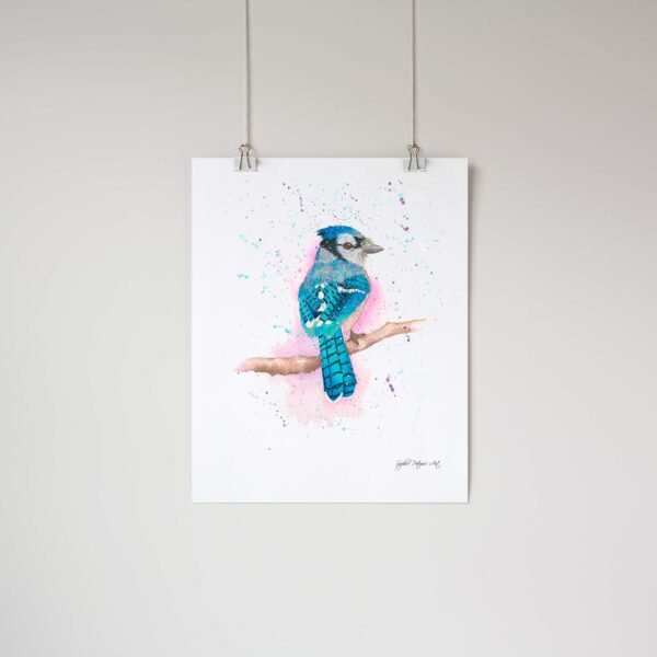 Blue-Jay-Art-Print