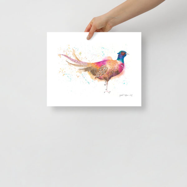 High-quality game bird wall art on textured paper, showcasing the iridescent feather details and expressive character of Phil the Pheasant
