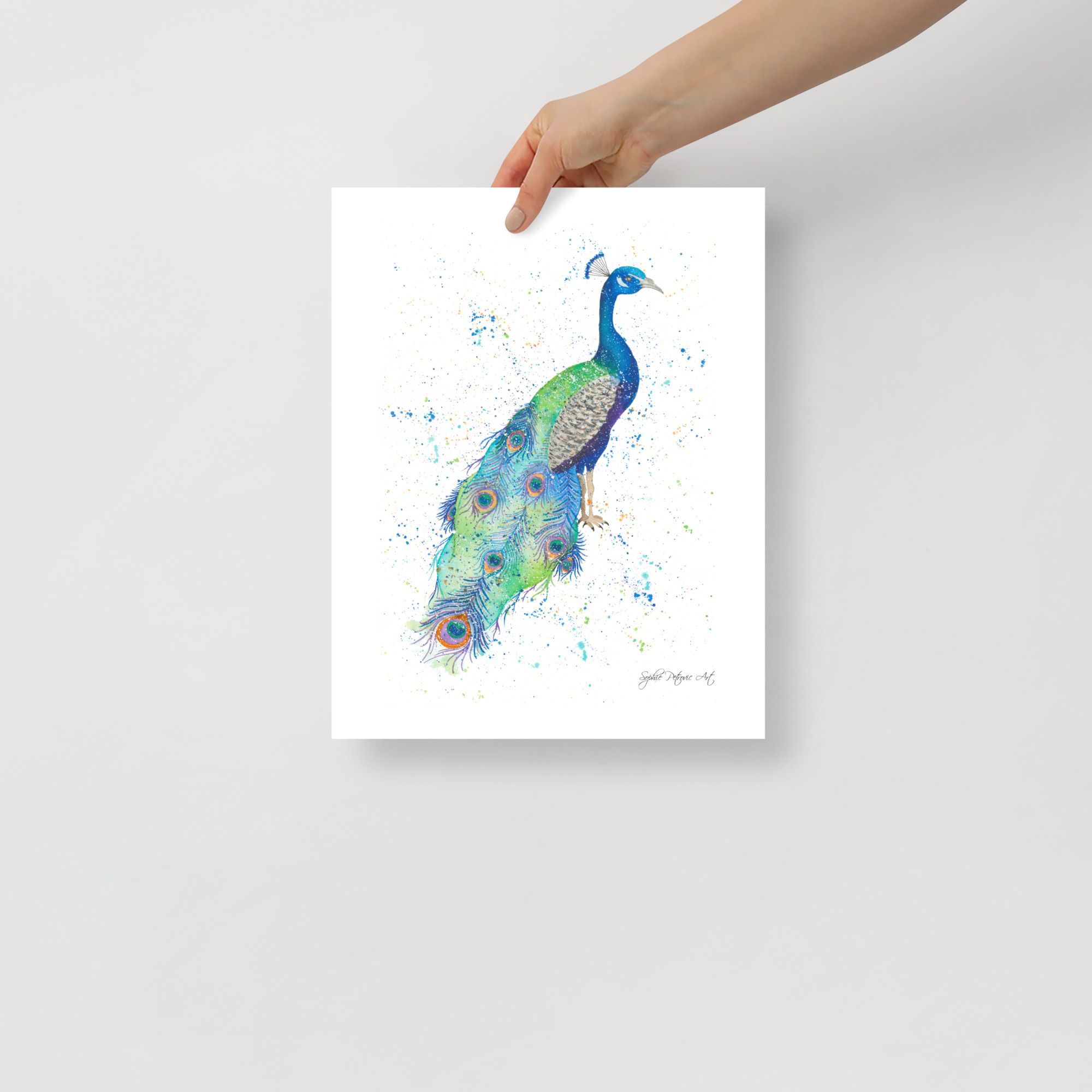 Mr P The Peacock Art Print